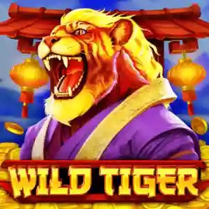 Wild Tiger logo by BGAMING Instant Casino